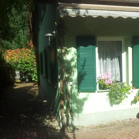 Biggis Waldpension 미쉔도르프